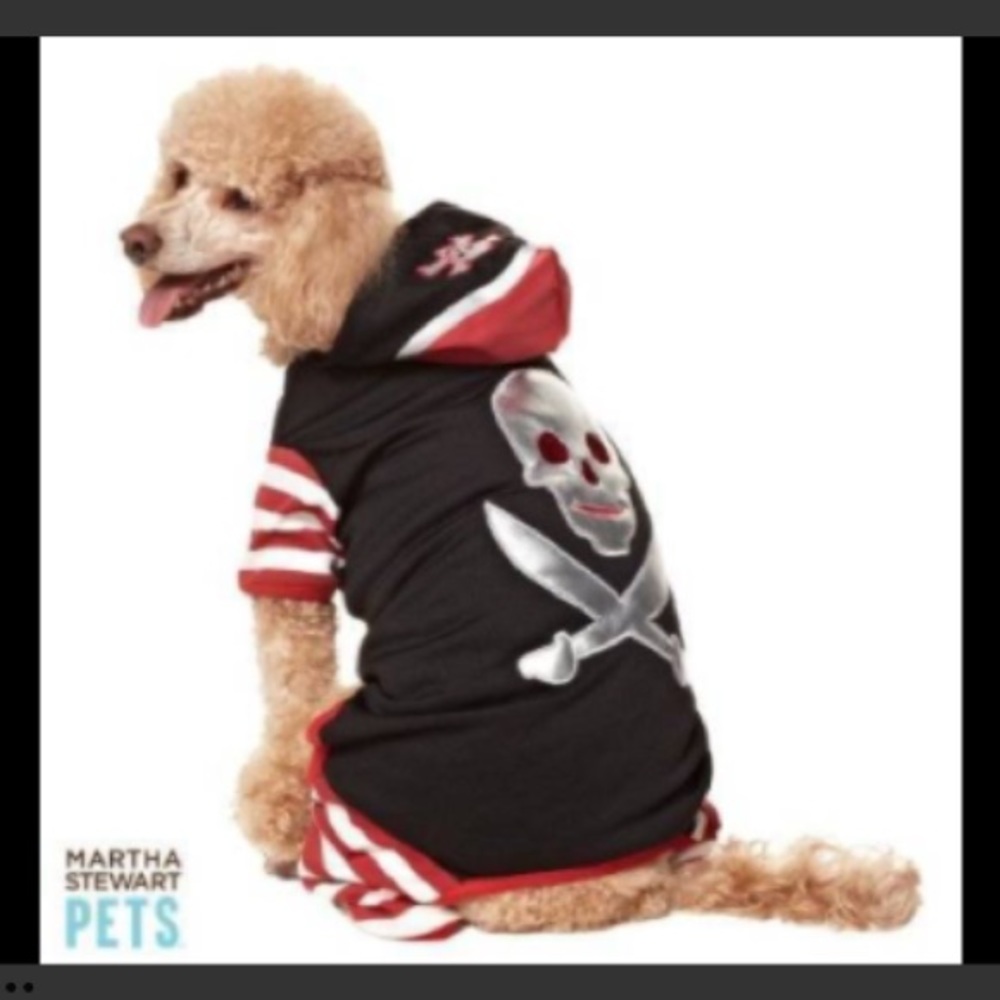 Medium Pirate Costume for Dog by Martha Stewart Pets